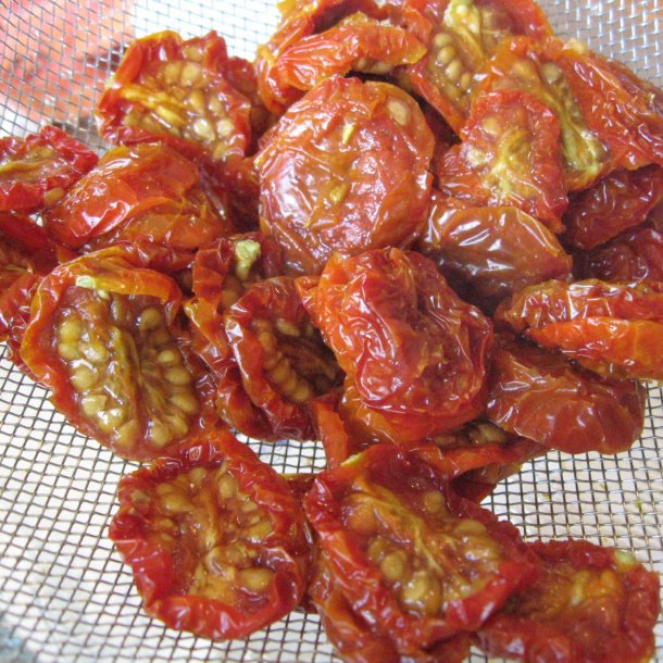 Tomat <br>'Principe Borghese' <br><i>Lycopersicon esculentum</i>