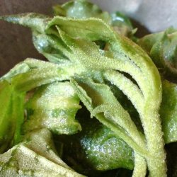 Isplante, ismiddagsblomst <br><i>Mesembryanthemum crystallinum</i>