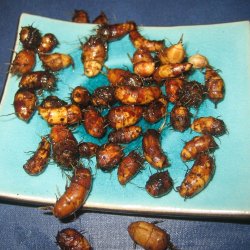 Jordmandel <br><i>Cyperus esculentus</i><br><br>