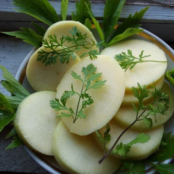 Klrabi, klroe <br>'Wilhelmsburger'<br><i>Brassica napus var. napobrassica </i>