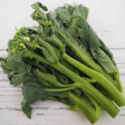 Kailaan, Kinesisk broccoli <br><i>Brassica oleracea var.alboglabra</i>