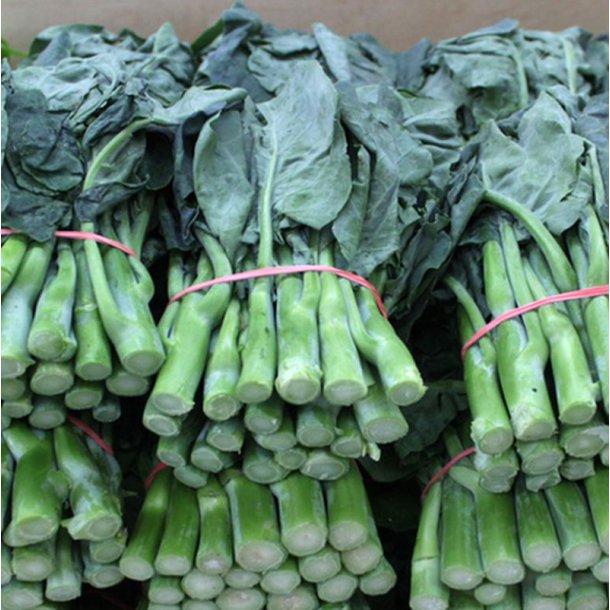 Kailaan, Kinesisk broccoli <br><i>Brassica oleracea var.alboglabra</i>