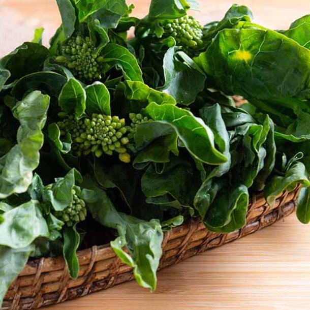 Kailaan, Kinesisk broccoli <br><i>Brassica oleracea var.alboglabra</i>