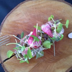 Rdbede <br>'Chioggia'<br><i>Beta vulgaris</i>