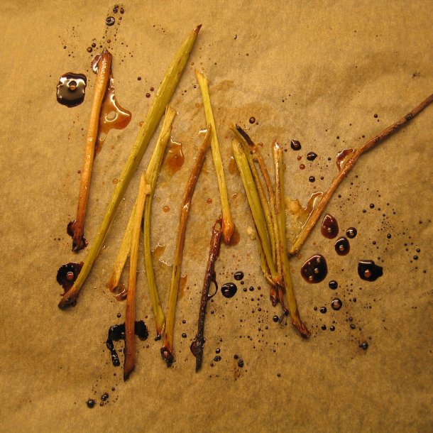 Kvan <br><i>Angelica archangelica</i><br><br>