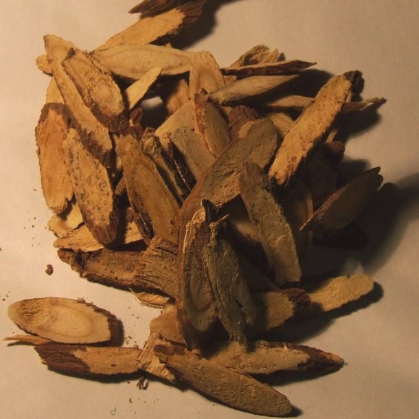 Lakrids, Glat <br><i>Glycyrrhiza glabra</i><br><br>