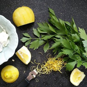 Lvstikke <br><i>Levisticum officinalis </i><br><br>