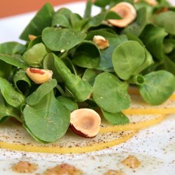 Feldsalat, <br>vrsalat <br><i> Valerianella locusta</i>