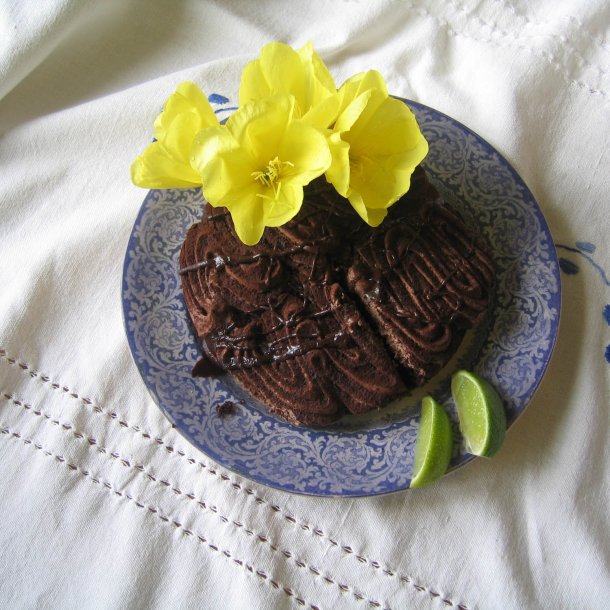 Natlys, <br>torig <br><i>Oenothera biennis </i>