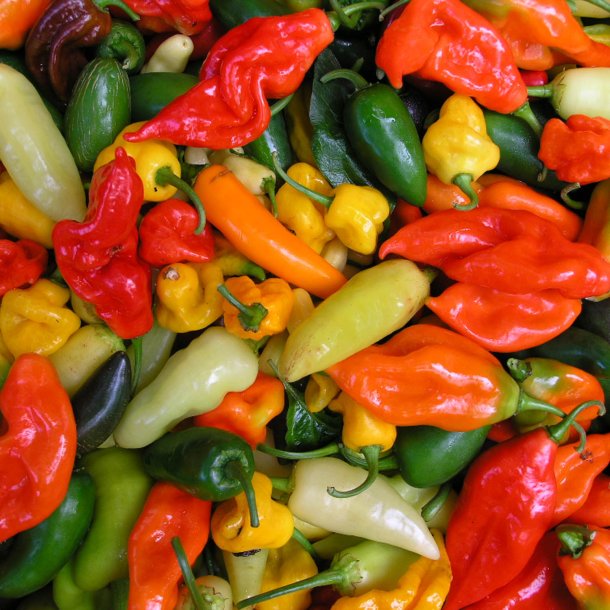 Chili <br>'Mix'<br><i>Capsicum</i>