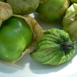 Tomatillo <br>'Verde'<br><i>Physalis philadelphica</i>