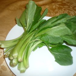 Komatsuna 'Carlton' F1 <br><i>Brassica rapa supsb. perviridis</i>