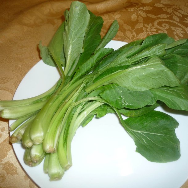 Komatsuna 'Carlton' F1 <br><i>Brassica rapa supsb. perviridis</i>