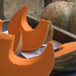 Grskar <br>'Musquee de Provence' <br><i>Curcubita moschata</i>