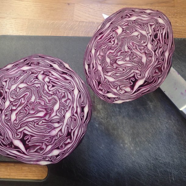 Rdkl <br>'Langedijker' <br><i>Brassica oleracea var. capitata rubra</i>