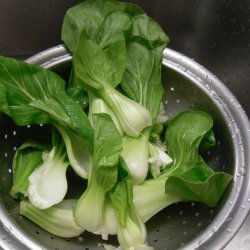 Pak choi <br>'Ryou' F1 <br><i> Brassica rapa var. chinensis</i>