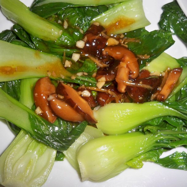 Pak choi <br>'Ryou' F1 <br><i> Brassica rapa var. chinensis</i>