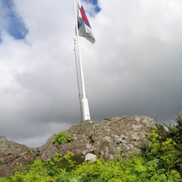 Lvefod, <br>Lodden <br><i> Alchemilla mollis </i>