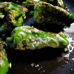 Pimientos de Padron - <br>Peber<br><i>Capsicum annuum </i>