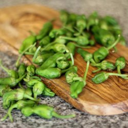 Pimientos de Padron - <br>Peber<br><i>Capsicum annuum </i>