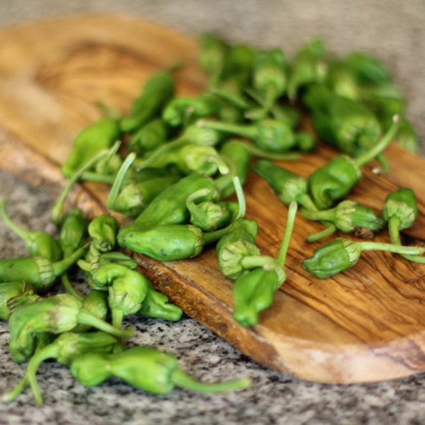 Pimientos de Padron - <br>Peber<br><i>Capsicum annuum </i>