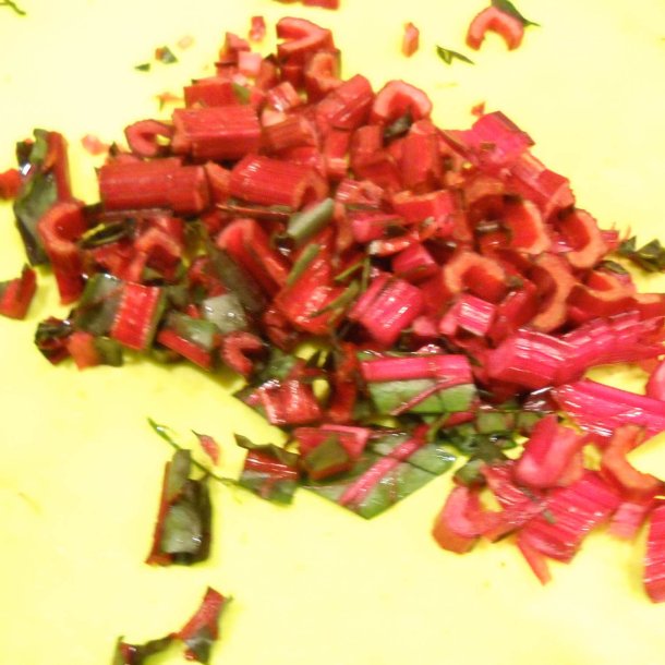 Bladbede 'Pink Lipstick' <br><i>Beta vulgaris var. cicla/flavescens </i>