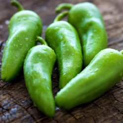 Chili <br>'Jalapeo'<br><i>Capsicum annuum</i>