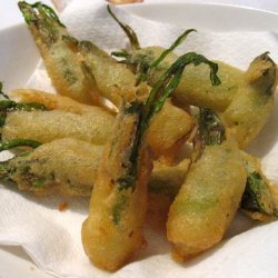 Puntarelle di Galatina, <br>Cikoriesalat<br><i>Cichorium intybus</i>