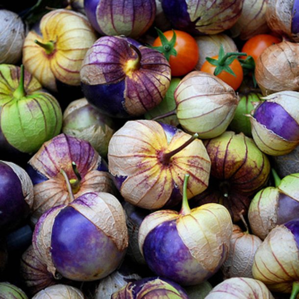 Tomatillo <br>'Purple'<br><i>Physalis ixocarpa</i>