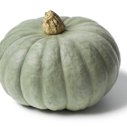 Grskar <br>'Queensland Blue' <br><i>Cucurbita maxima</i>