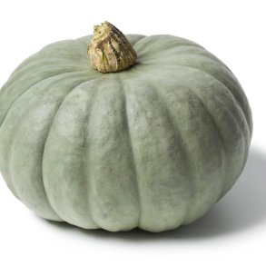 Grskar <br>'Queensland Blue' <br><i>Cucurbita maxima</i>