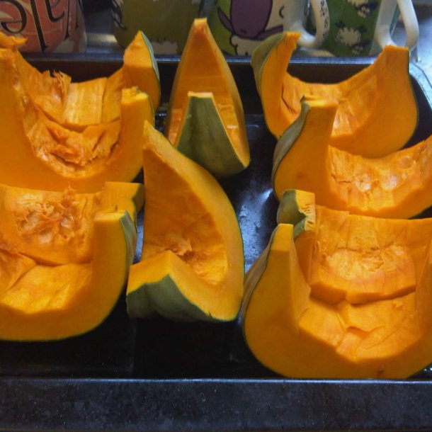 Grskar <br>'Queensland Blue' <br><i>Cucurbita maxima</i>