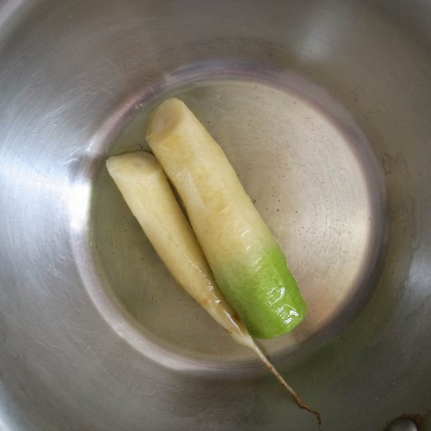 Gulerod <br>'Blanche collet vert hors terre' <br><i>Daucus carota var. sativus</i>