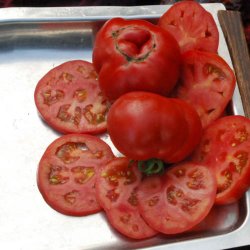Tomat <br>'Sub Arctic Plenty' <br><i>Lycopersicon esculentum</i>