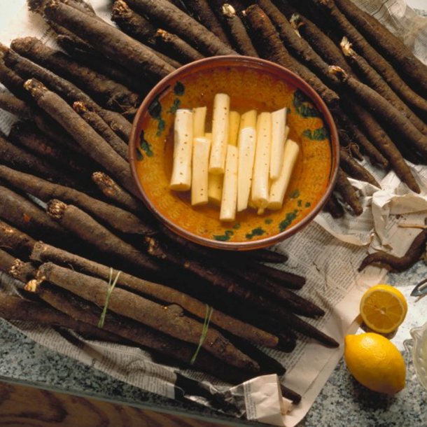 Skorzonerrod <br>'Long Black' <br><i>Scorzonera hispanica</i>