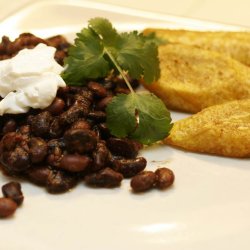 Bnne <br>'Black Turtle'<br><i>Phaseolus vulgaris</i>