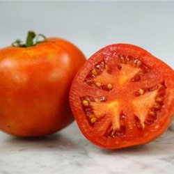 Tomat <br>'Saint Pierre'<br><i>Lycopersicon esculentum</i>