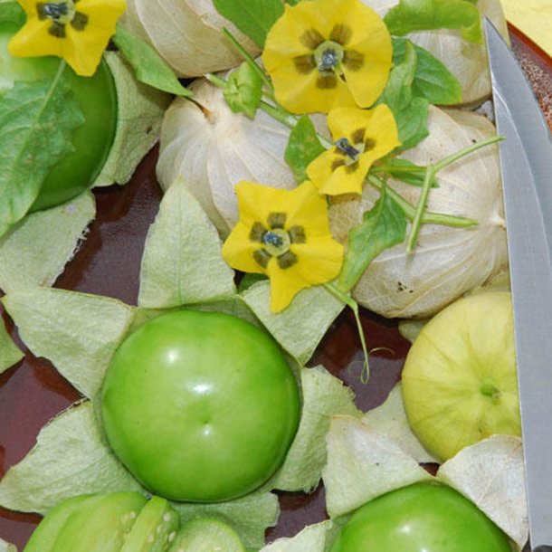 Tomatillo <br>'Verde'<br><i>Physalis philadelphica</i>
