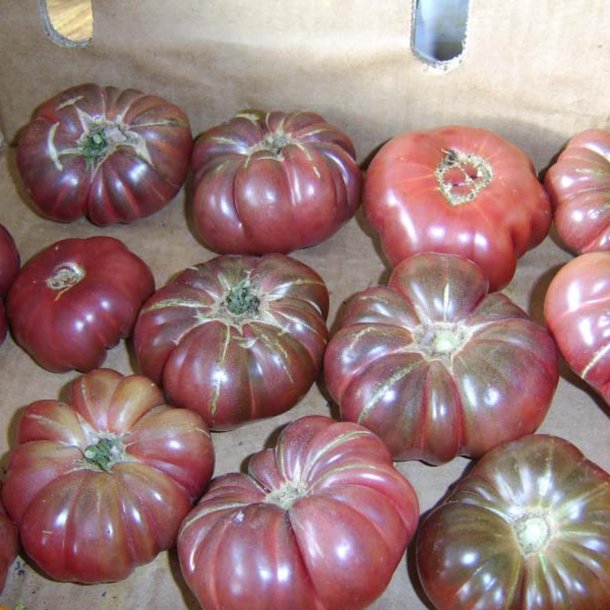 Tomat <br>'Purple Calabash' <br><i>Lycopersicon esculentum</i>