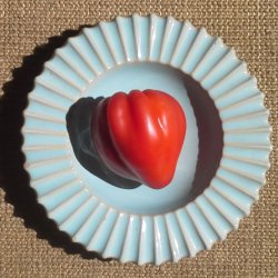 Tomat <br>'Sweetheart�<br><i>Lycopersicon esculentum</i>
