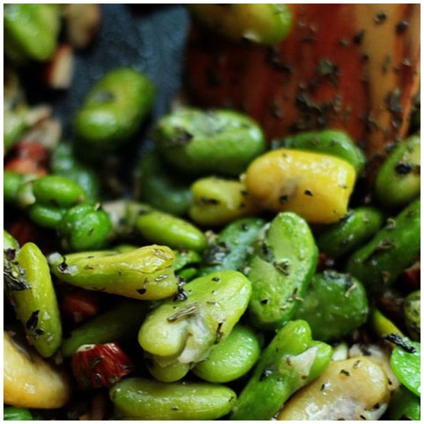 Valsk bnne, hestebnne <br>'Vertigo'<br><i>Vicia faba </i>