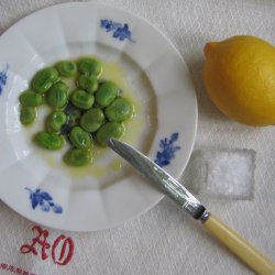 Valsk bnne, hestebnne <br>'Vertigo'<br><i>Vicia faba </i>