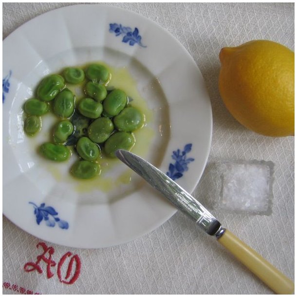 Valsk bnne, hestebnne <br>'Vertigo'<br><i>Vicia faba </i>