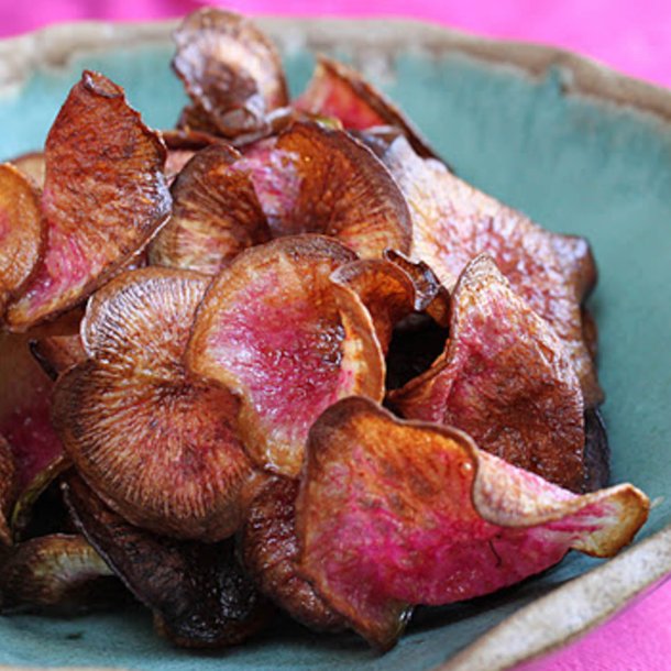 Radise <br>'Watermelon' <br><i>Raphanus sativus</i>