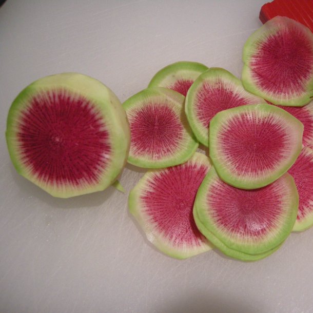 Radise <br>'Watermelon' <br><i>Raphanus sativus</i>