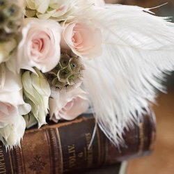 Skabiose, Stjerne- <br><i>Scabiosa stellata</i>