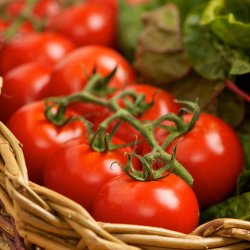Tomat <br>'Ailsa Craig'<br><i>Lycopersicon esculentum</i>
