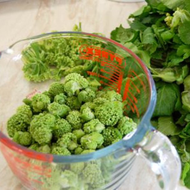 Alexanderurt <br>Makedonsk persille, <br>Sort lvstikke <br><i>Smyrnium olusatrum</i>