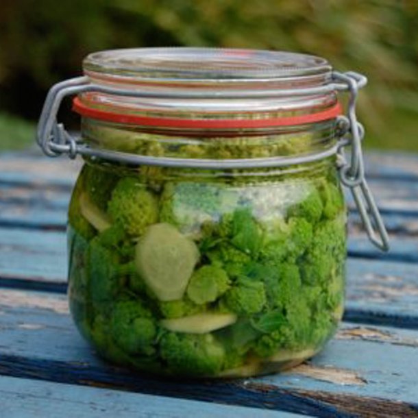 Alexanderurt <br>Makedonsk persille, <br>Sort lvstikke <br><i>Smyrnium olusatrum</i>