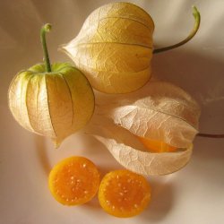 Ananaskirsebr <br><i>Physalis peruviana</i><br><br>